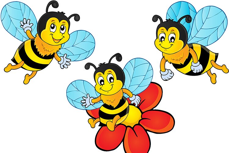 the-land-of-honey-older-children-interesting-facts-about-bees